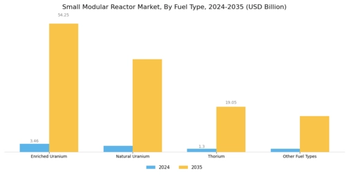 Small Modular Reactor Market Segment Image 3