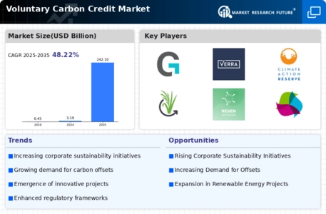 Voluntary Carbon Credit Market Infographic