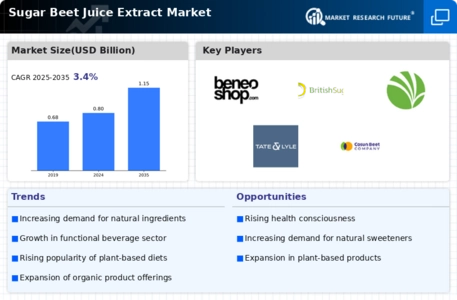 Sugar Beet Juice Extract Market Infographic