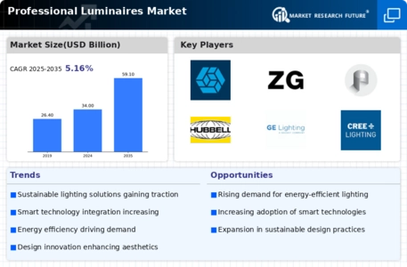 Professional Luminaires Market Infographic