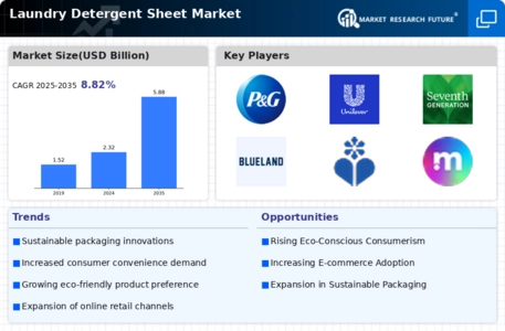 Laundry Detergent Sheet Market Infographic