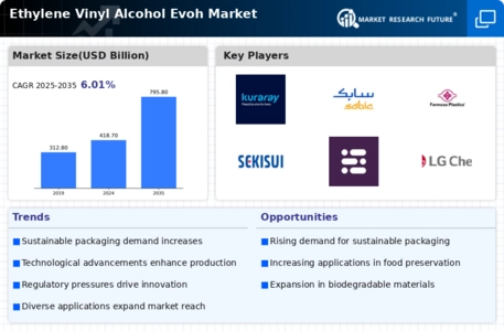 Ethylene Vinyl Alcohol Market Infographic