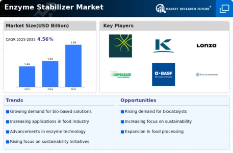 Enzyme Stabilizer Market Infographic