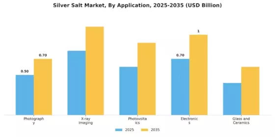 Silver Salt Market Segment Image 0