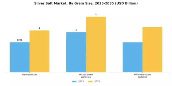 Silver Salt Market Segment Image 3