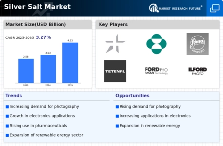 Silver Salt Market Infographic