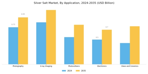 Silver Salt Market Segment Image 0