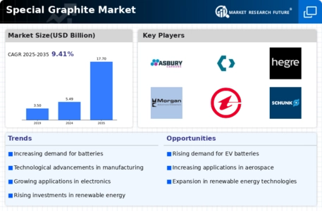 Special Graphite Market Infographic