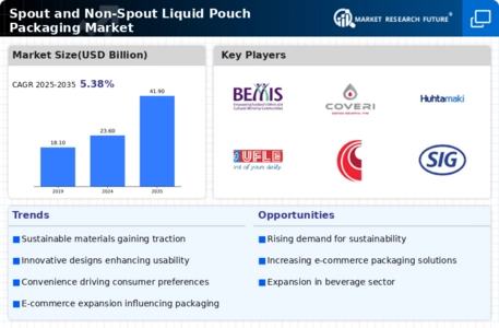 Spout and Non-Spout Liquid Pouch Packaging Market Infographic