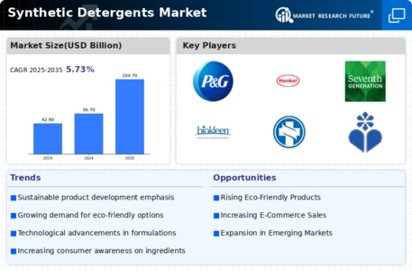 Synthetic Detergents Market Infographic