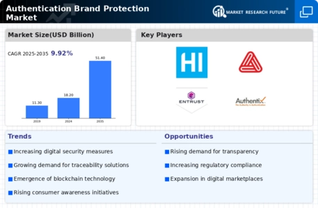 Authentication Brand Protection Market Infographic