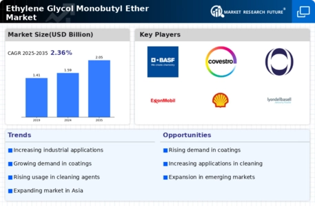 Ethylene Glycol Monobutyl Ether Market
 Infographic