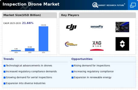 Inspection Drone Market Infographic