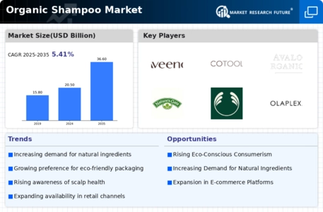 Organic Shampoo Market Infographic