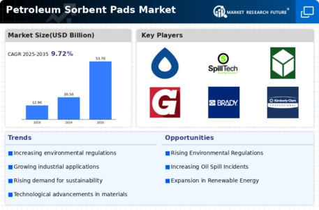 Petroleum Sorbent Pads Market Infographic