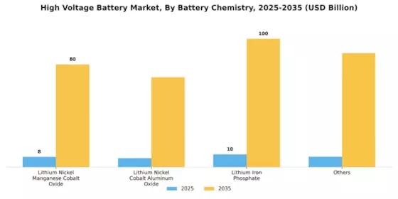 High Voltage Battery Market Segment Image 0