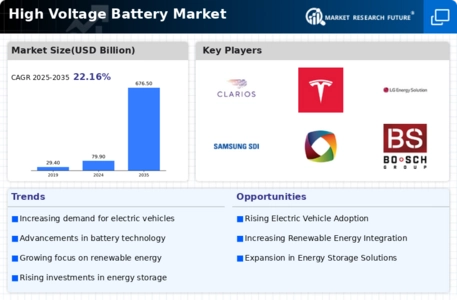 High Voltage Battery Market Infographic