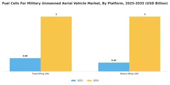 Fuel Cells For Military Unmanned Aerial Vehicle Market Segment Image 1
