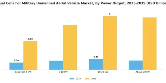 Fuel Cells For Military Unmanned Aerial Vehicle Market Segment Image 2