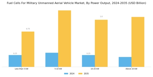 Fuel Cells For Military Unmanned Aerial Vehicle Market Segment Image 2