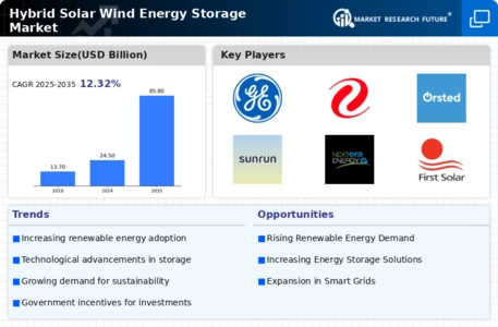 Hybrid Solar Wind Energy Storage Market Infographic