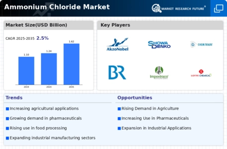 Ammonium Chloride Market Infographic