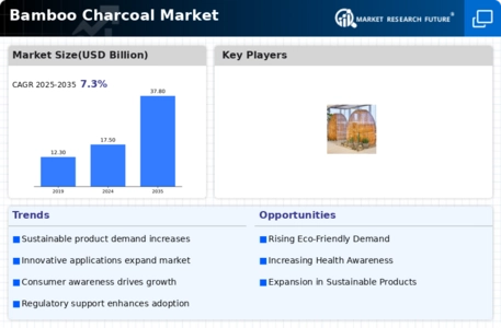 Bamboo Charcoal Market Infographic