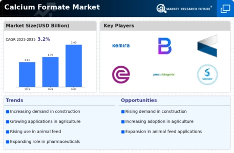 Calcium Formate Market Infographic