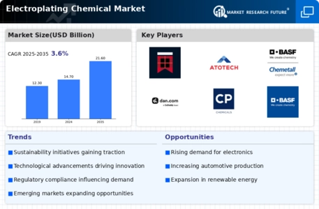 Electroplating Chemical Market Infographic
