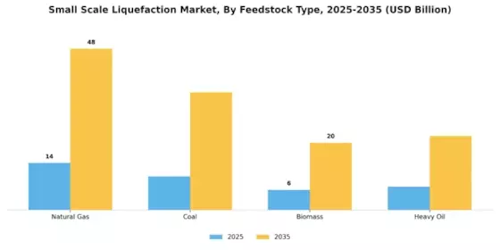 Small Scale Liquefaction Market Segment Image 0