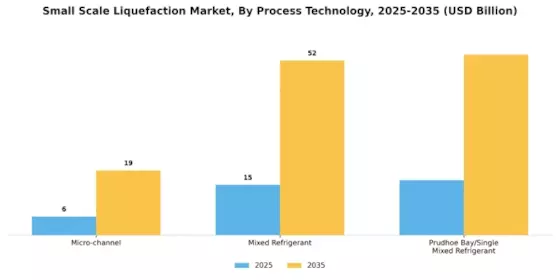 Small Scale Liquefaction Market Segment Image 2