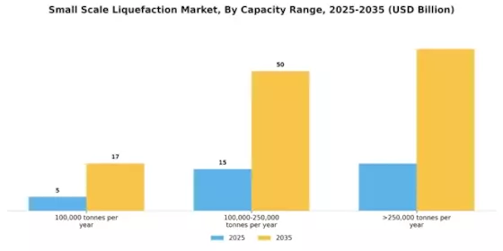 Small Scale Liquefaction Market Segment Image 3
