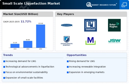 Small Scale Liquefaction Market Infographic