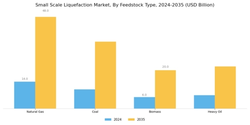 Small Scale Liquefaction Market Segment Image 0