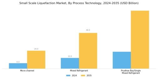 Small Scale Liquefaction Market Segment Image 2