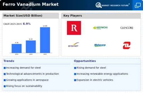 Ferro Vanadium Market Infographic