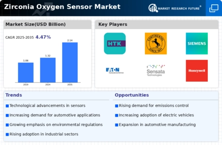 Zirconia Oxygen Sensor Market Infographic