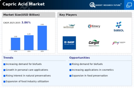 Capric Acid Market Infographic