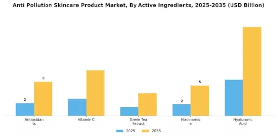 Anti Pollution Skincare Product Market Segment Image 2