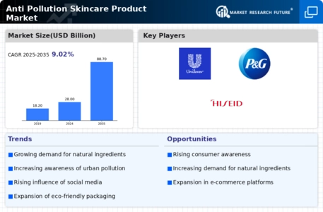 Anti Pollution Skincare Product Market Infographic