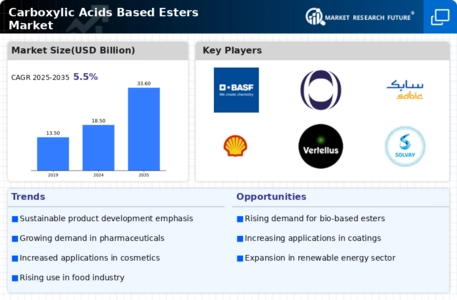 Carboxylic Acids Based Esters Market Infographic