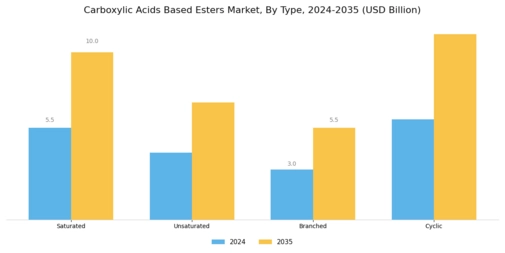 Carboxylic Acids Based Esters Market Segment Image 0