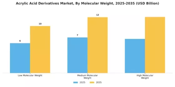 Acrylic Acid Derivatives Market Segment Image 3