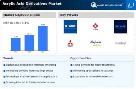 Acrylic Acid Derivatives Market Infographic