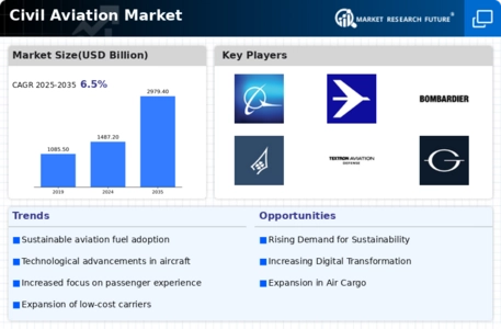 Civil Aviation Market
  Infographic