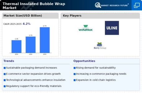 Thermal Insulated Bubble Wrap Market Infographic