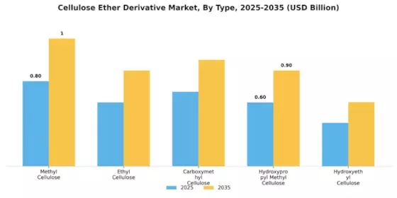 Cellulose Ether Derivative Market Segment Image 0