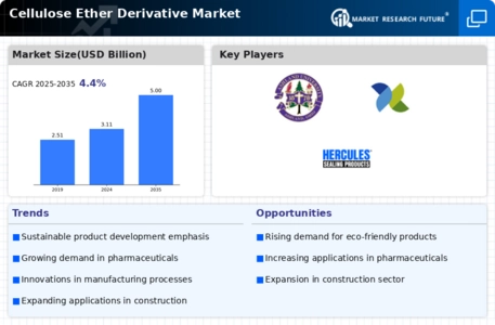 Cellulose Ether Derivative Market Infographic