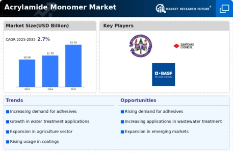 Acrylamide Monomer Market Infographic