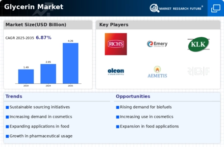 Glycerin Market Infographic